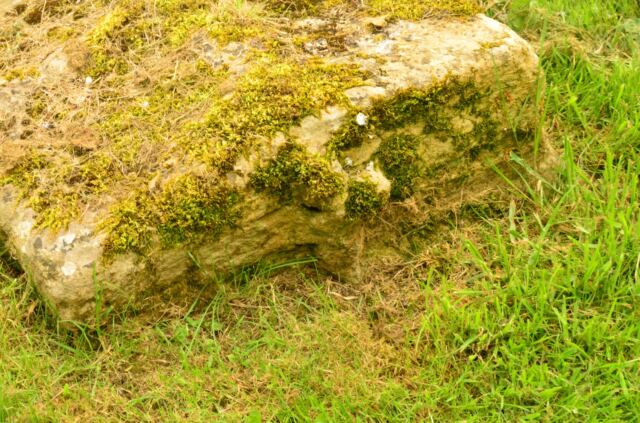 Ancient (some think Knight Crusader) grave marker - St. Eadburgha's Church - Ebrington (1)