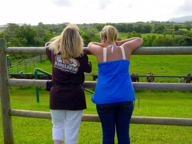 LeeLee and Melanie look at the horses