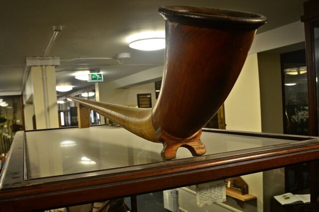 Bate Collection of Musical Instruments - Oxford (5)