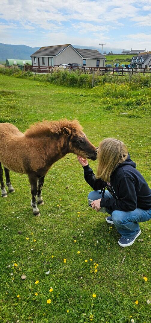 The Shetland Pony Experience 44