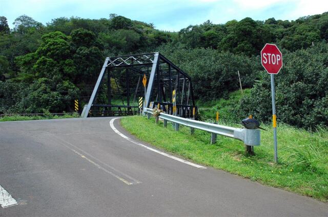 Bridge and fish head