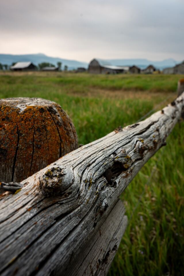 Mormon Row (02)