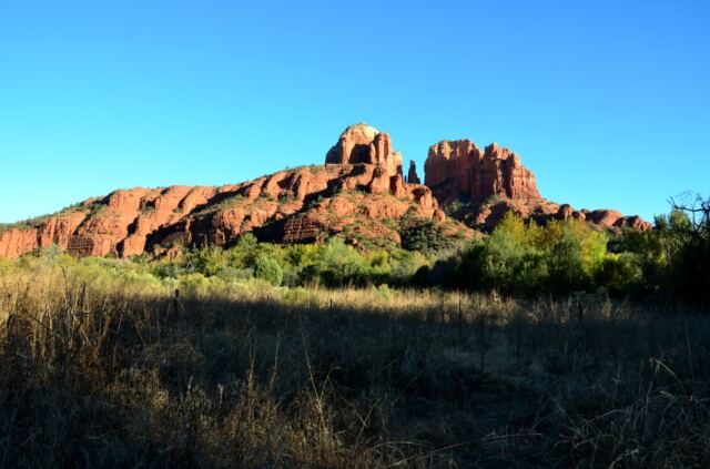 Cathedral Rock field views (4)