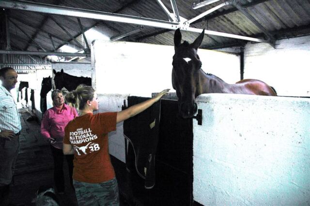 Melanie inside Little Charingworth Stud stables (1)