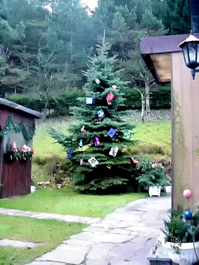 Christmas tree in Hormannsdorf