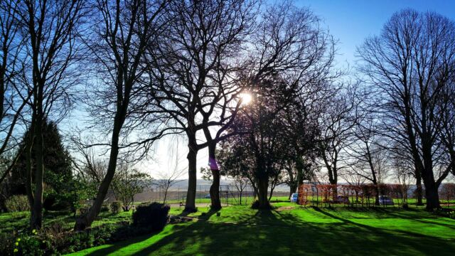 Sunset through the Charingworth trees (1)