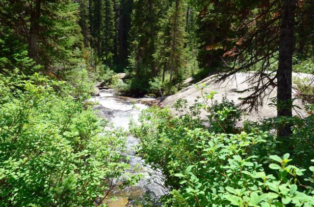 The stream alongside our hiking path