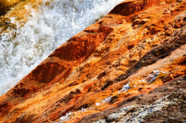 Excelsior Geyser runoff stream (4)