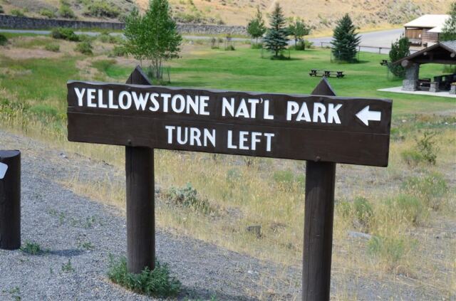 Turn left