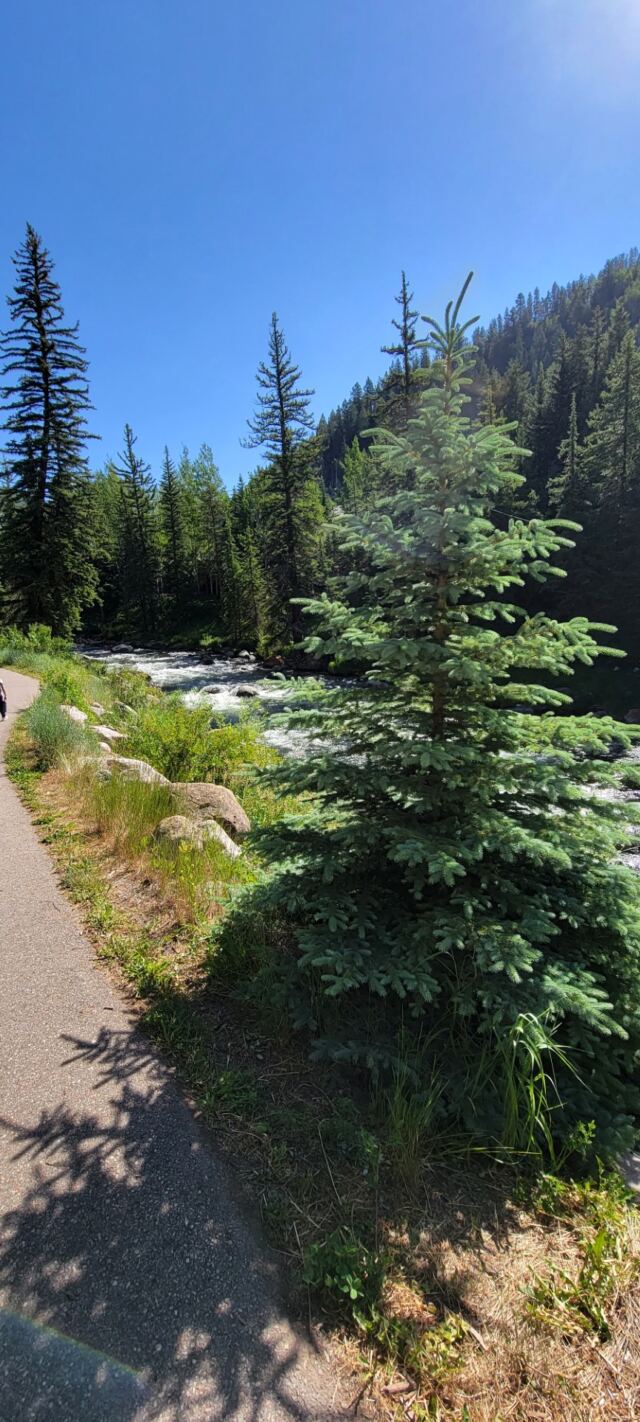 Gore Creek hiking views 11