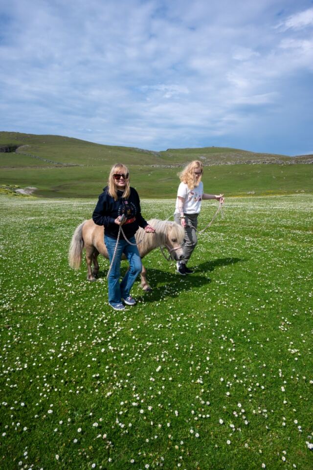 The Shetland Pony Experience 78