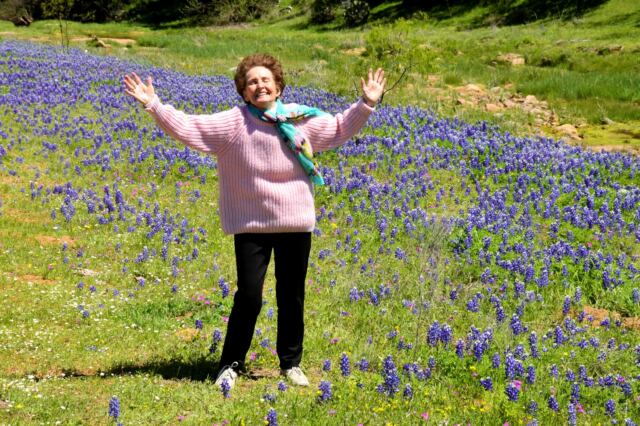 Geri in the Willow Loop bluebonnets 2