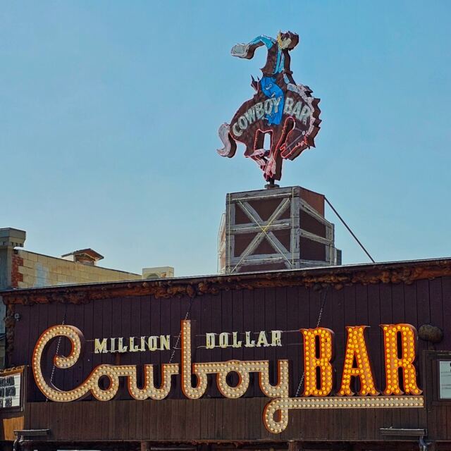 Million Dollar Cowboy Bar (1)