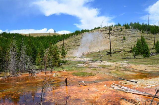 Spray Geyser