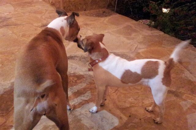 pippa-and-lucy-bffs