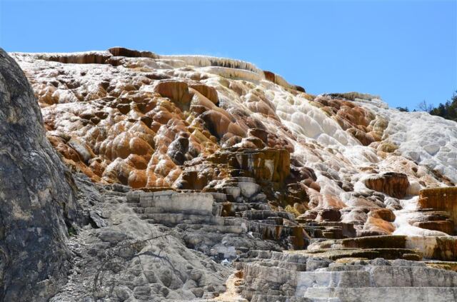 Devil's Thumb (Mammoth Hot Springs) (7)