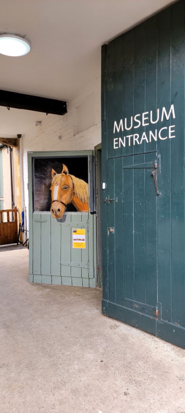 Horses for Melanie (1)
