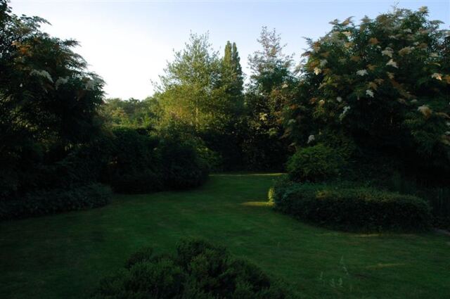 Woodland Cottage - back garden (2)