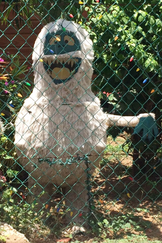 BVI Bumble