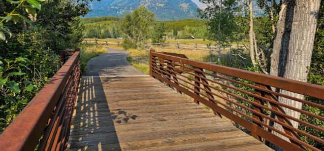 Cottonwood Creek (4)