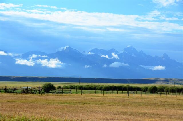 Purple mountains majesty