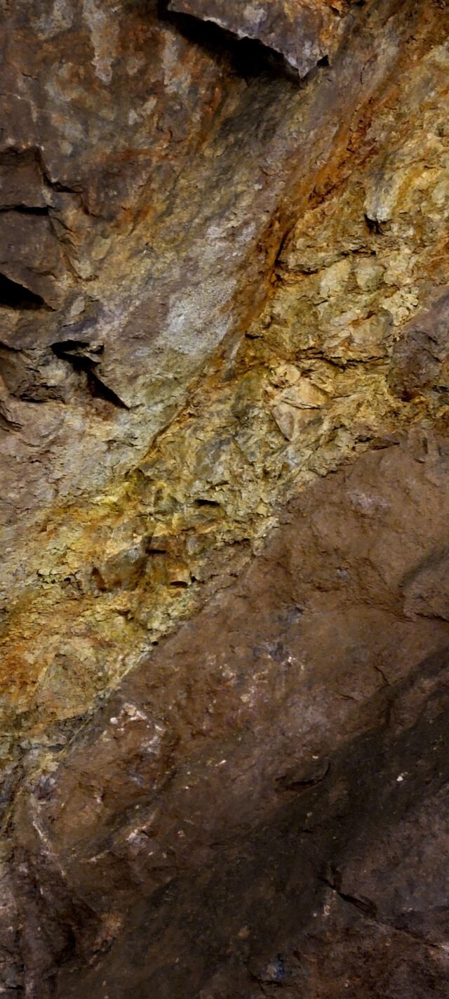 Rich ore veins 1