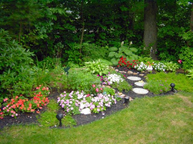 Back garden (1)