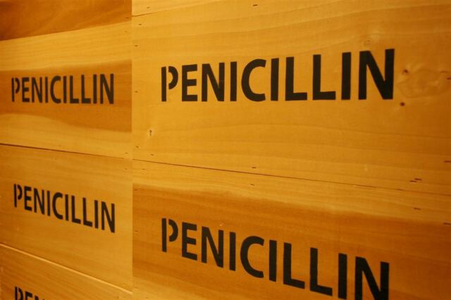 Penicillin