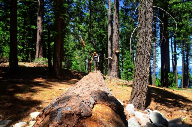 Kathy balances on fallen log