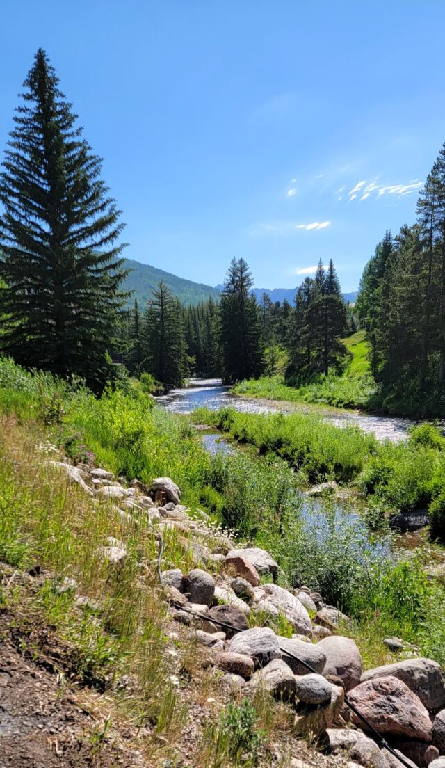 Gore Creek hiking views 15