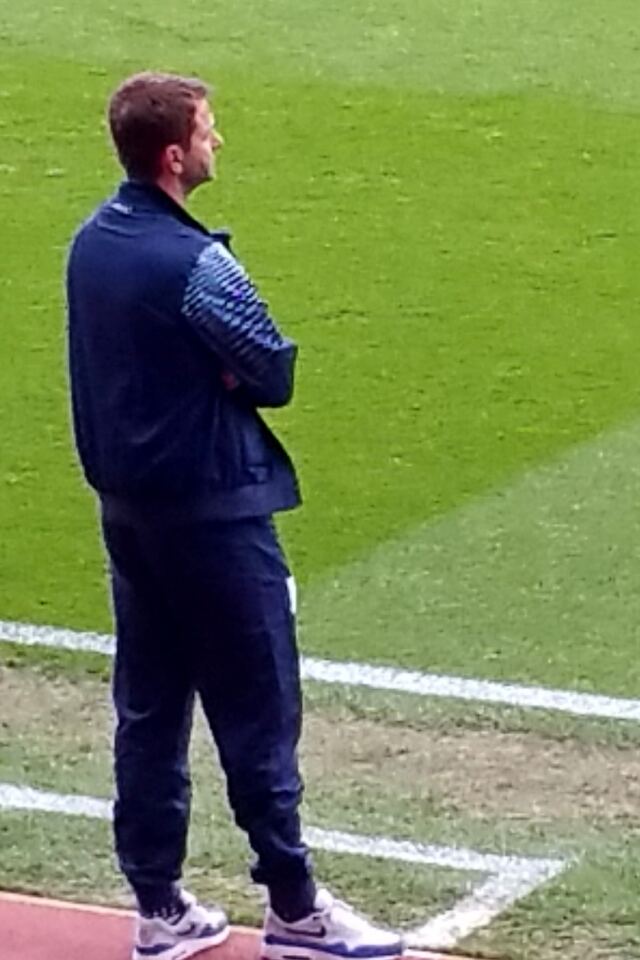 Tim Sherwood looks on