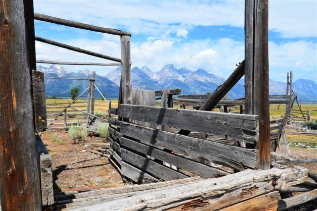 Livestock loading ramp