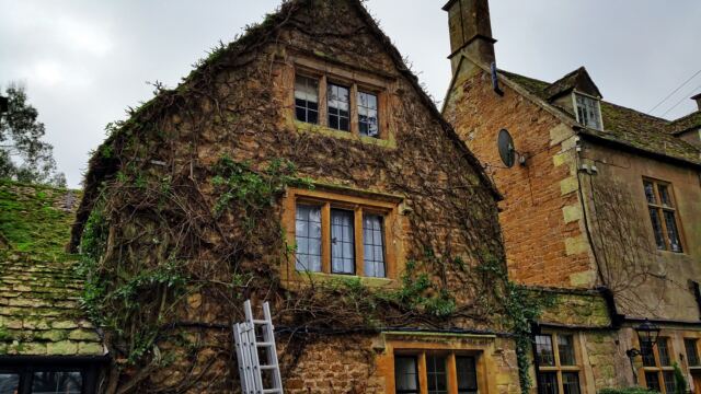 Brown Charingworth vines