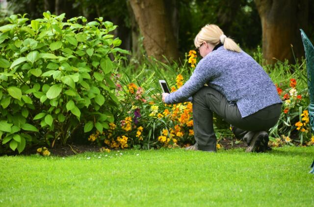 Kathy and the Charingworth garden