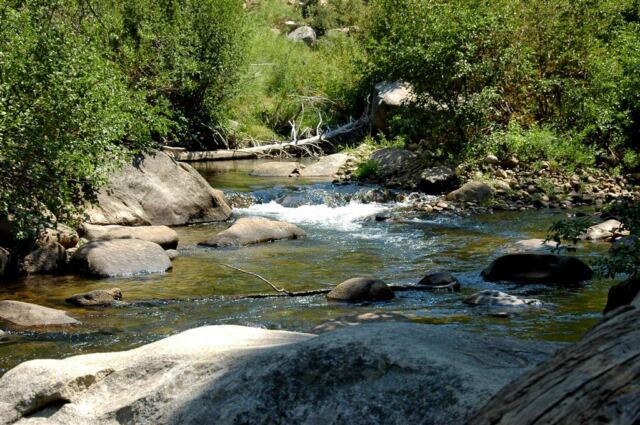 Mountain stream
