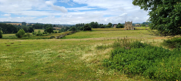 Chipping Campden sheep fields (06)