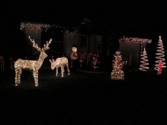 griswoldian-christmas-decorations-2004