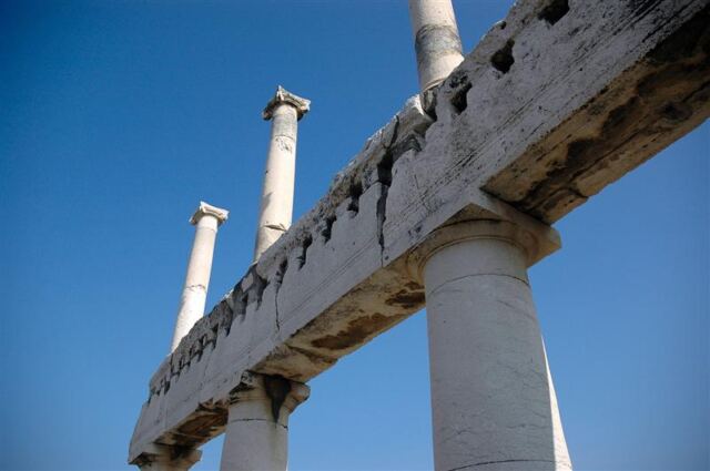 Column details (1)