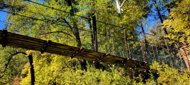 Junipine Creek views (10)