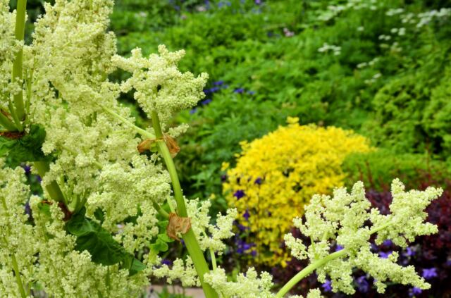 anne-hathaway-s-cottage-gardens-3