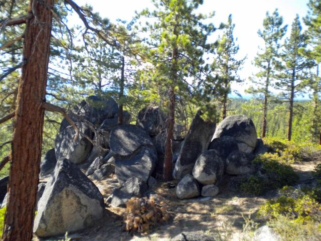 Rock and tree formation