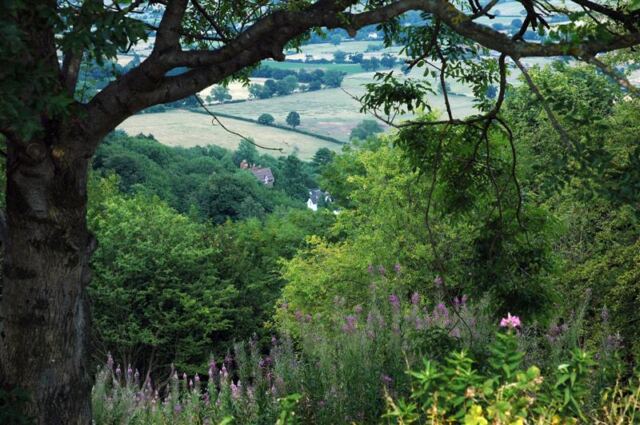 Malvern views (15)