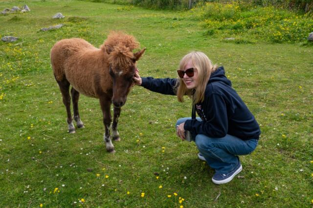 The Shetland Pony Experience 45