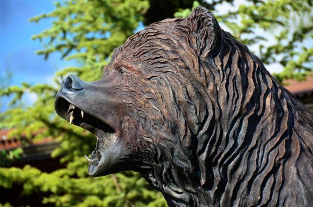 Goofy bear