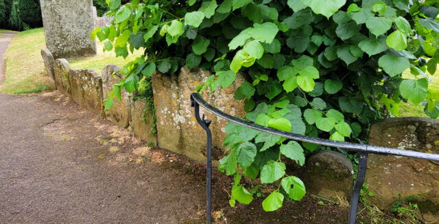 Chipping Campden - St James church - cemetery (27)