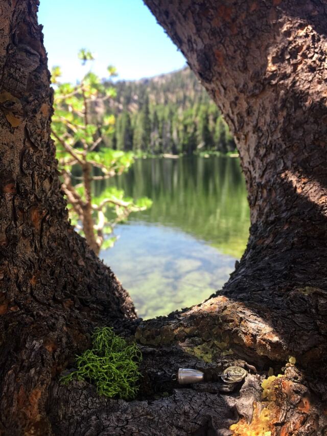 Artsy Angora Lake shot
