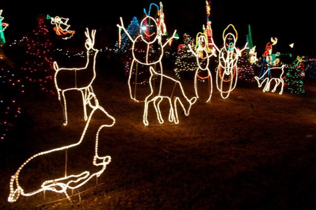 deer-and-snowmen