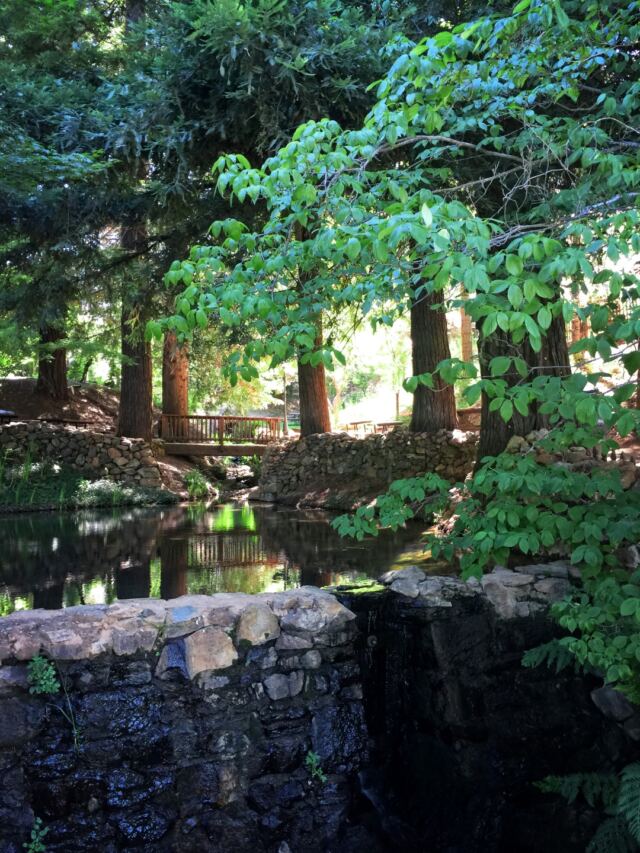 Boeger Winery - bridge and trees