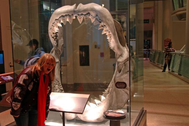 Big Mouth Mel