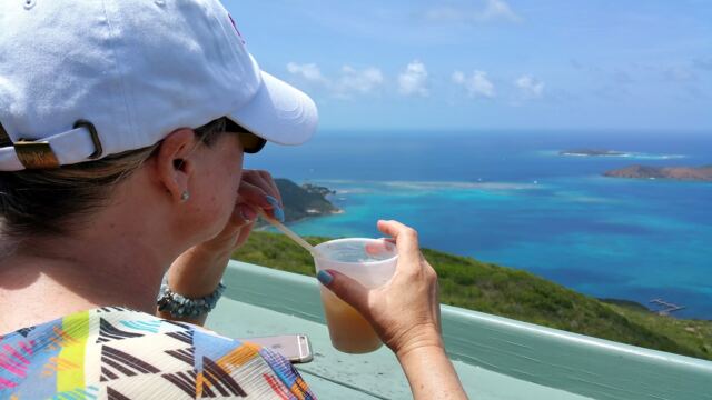 Looking at Leverick Bay from Hog Heaven 1